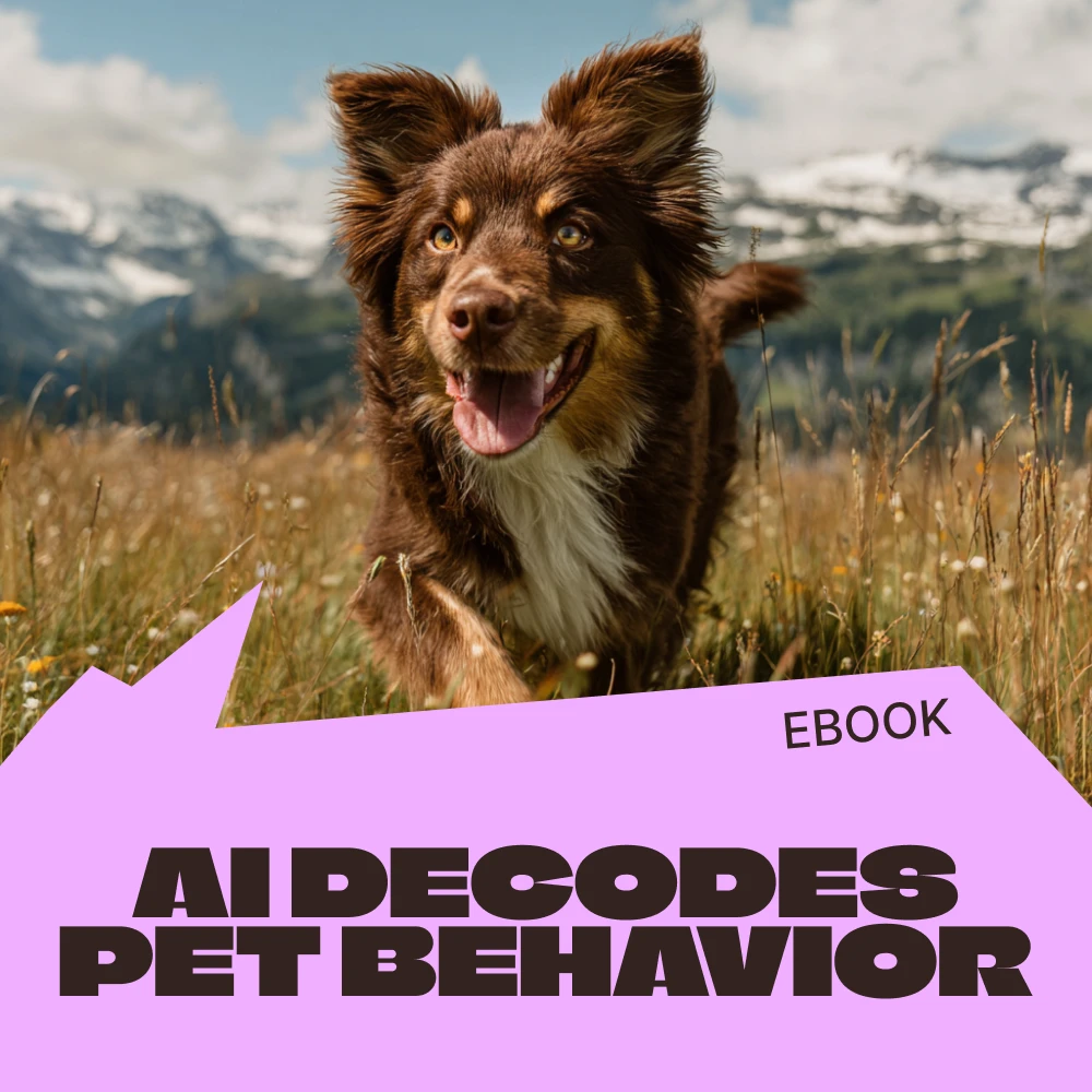 How to Use AI to Spot Pet Behavior Patterns